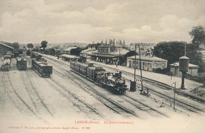 L'aigle