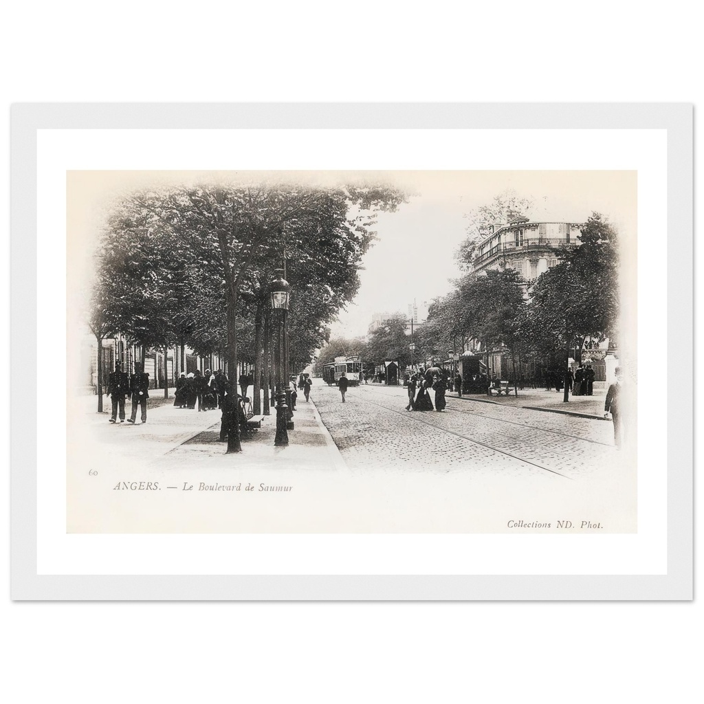 Angers - Le Boulevard de Saumur