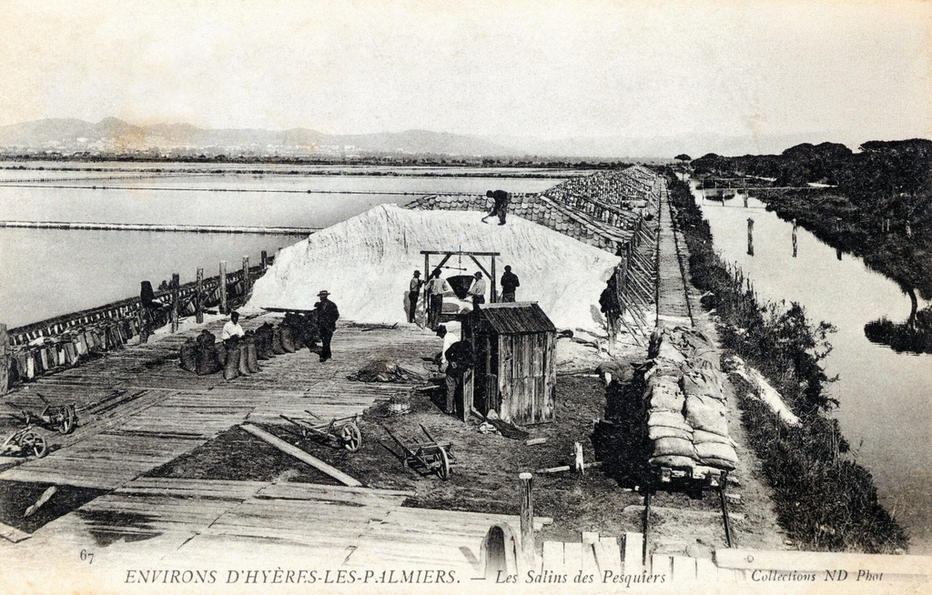 Environs d'Hyeres-Les Palmiers - Mes Salins des Pesquiers