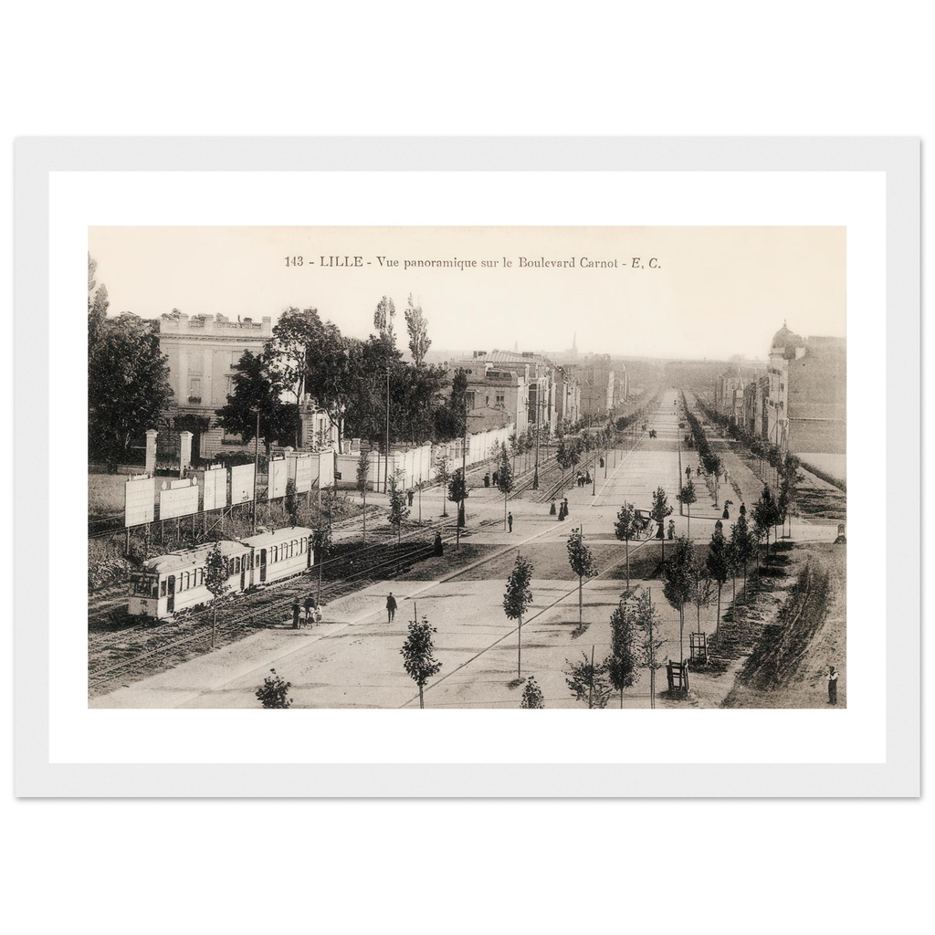 Lille - Vue panoramique sur le boulevard Carnot