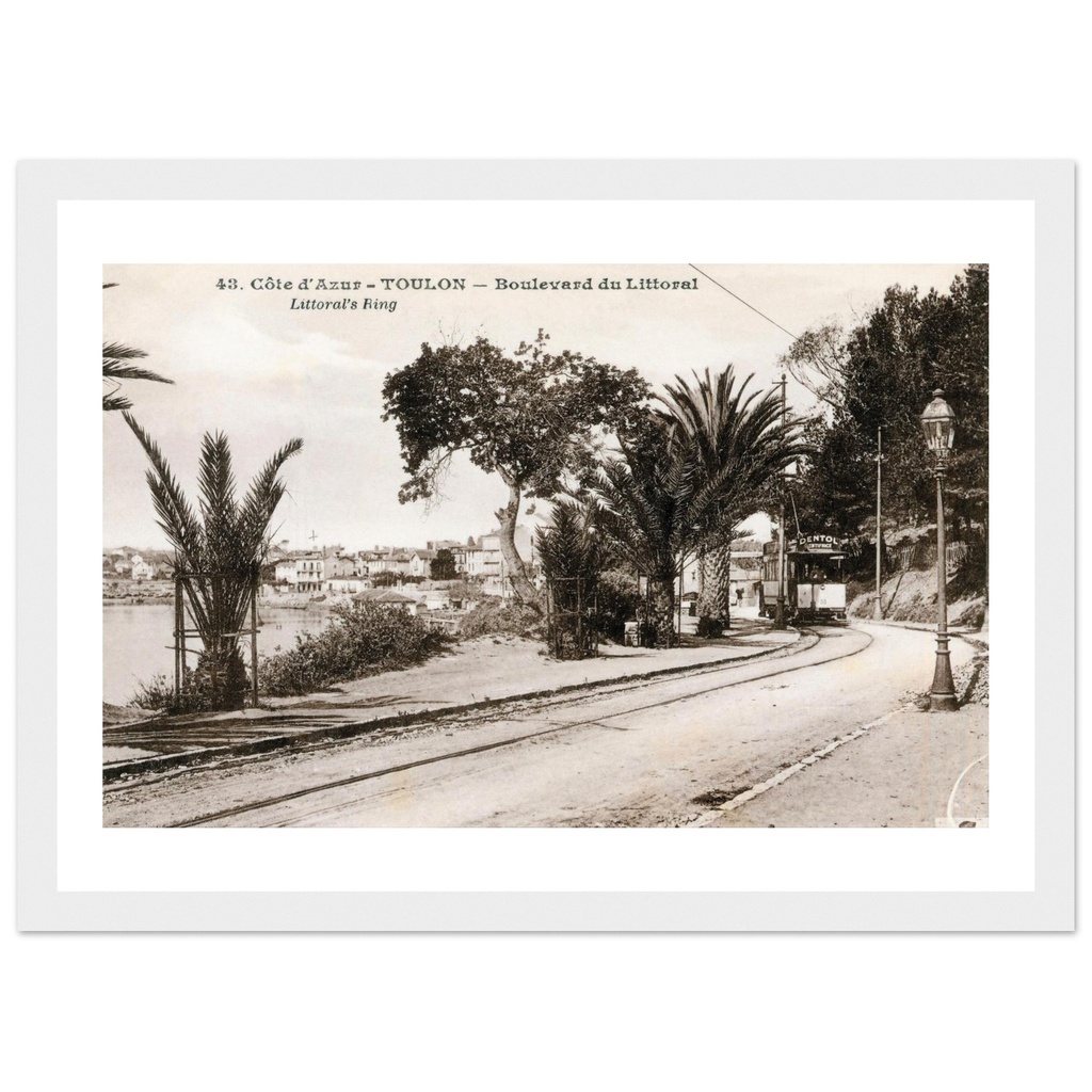 Toulon - Var - PACA - France