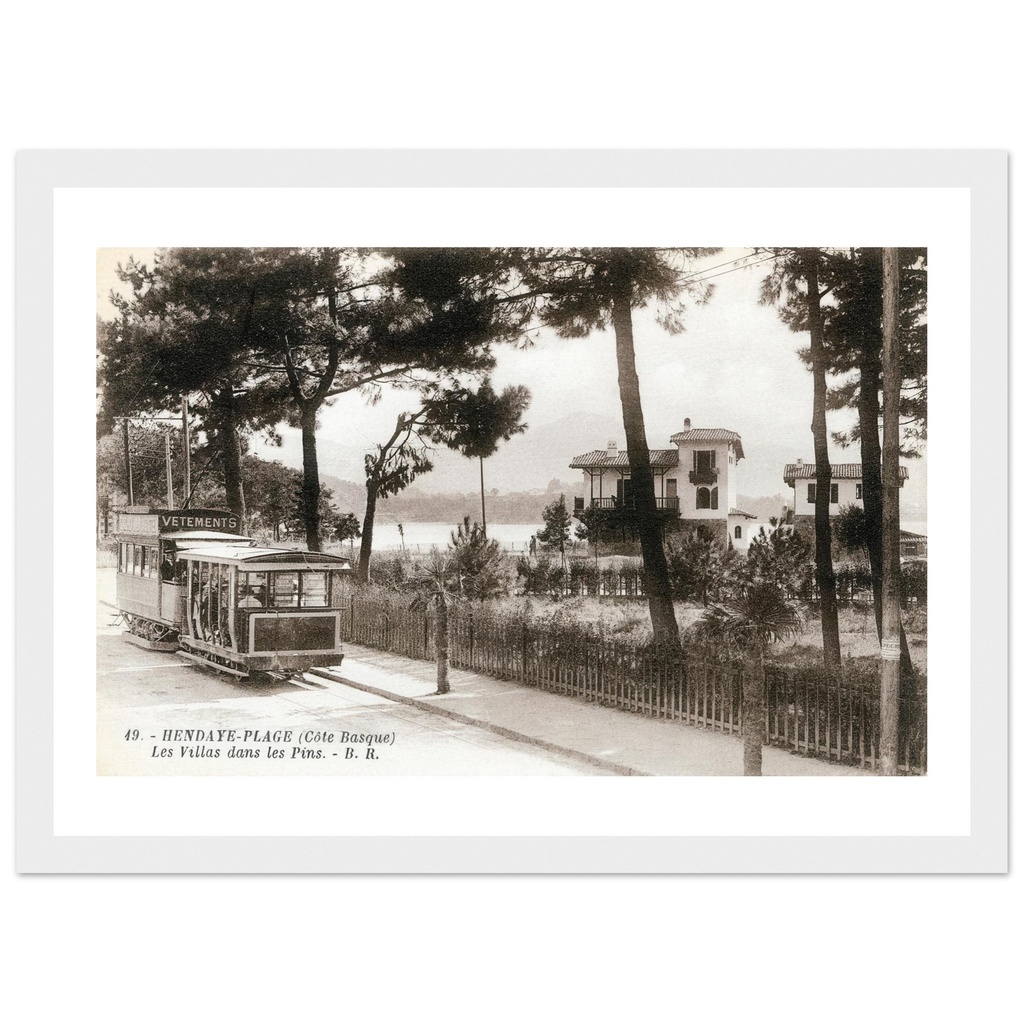 Hendaye Plage (Cote Basque) -Les villas dans les pins