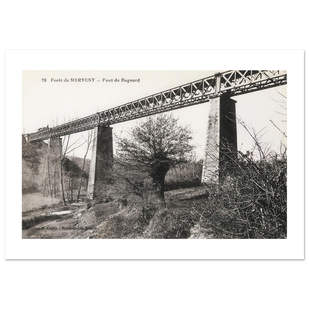 Foret de Mervent - Pont de Bagnard     Vendee - Pays de la Loire - France