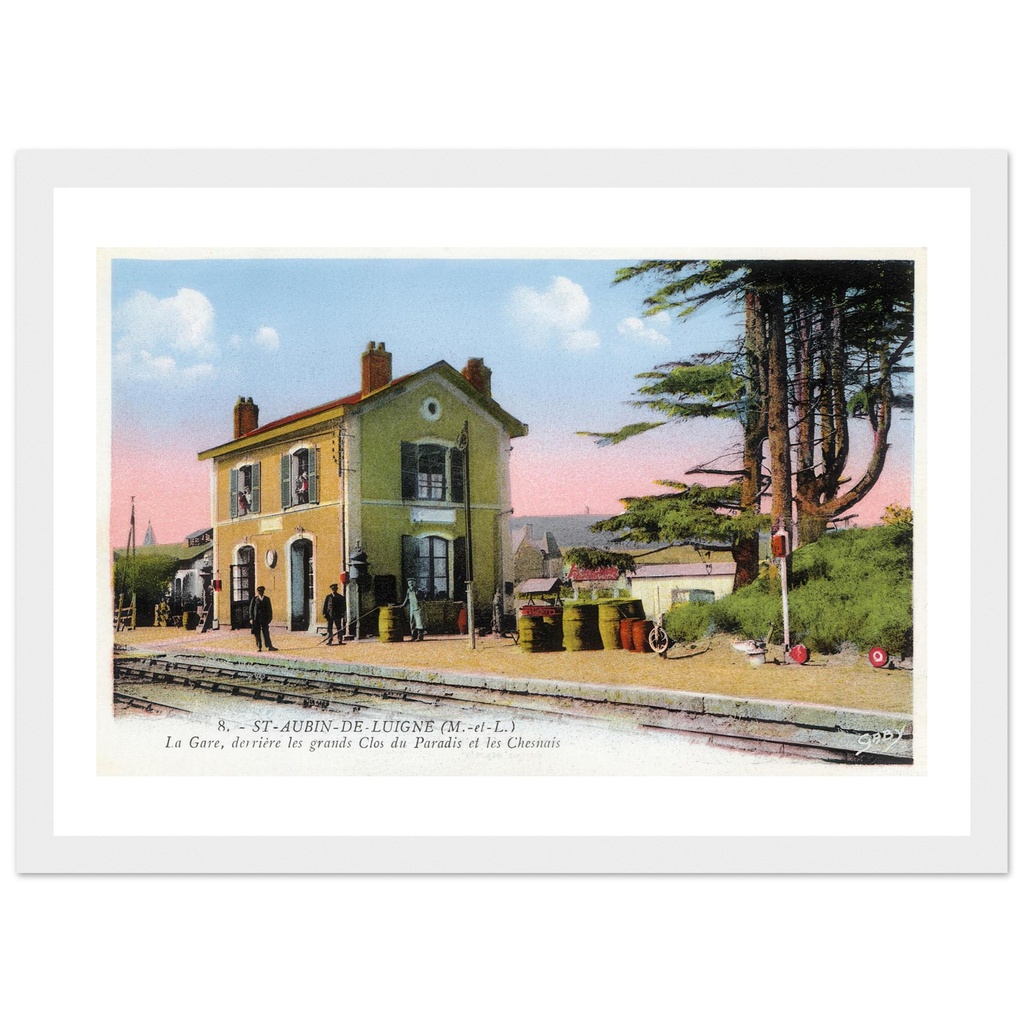 Saint-Aubin-de-Luigné (Maine et Loire) - La gare, derrière les Grands clos du Paradis et le Chesnais