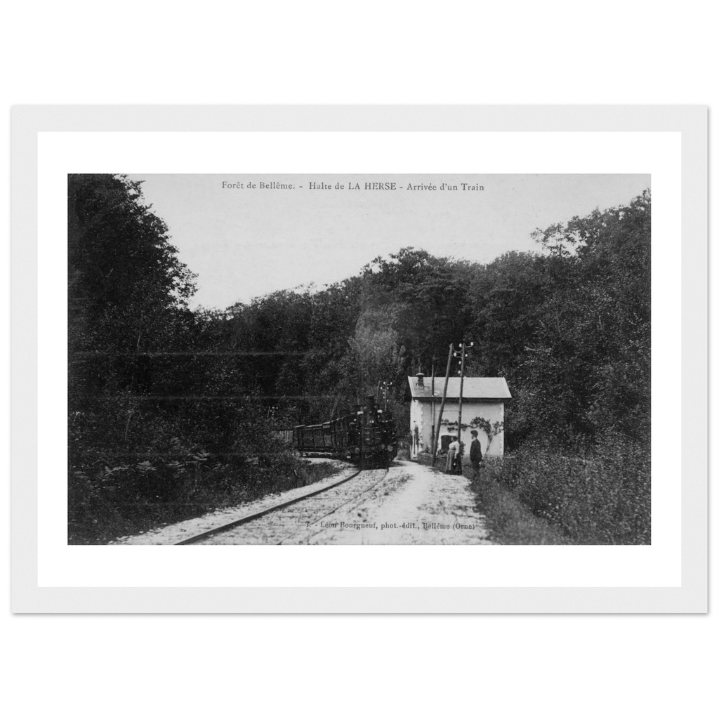 foret de Belleme - halte de La Herse - arrivee du train
