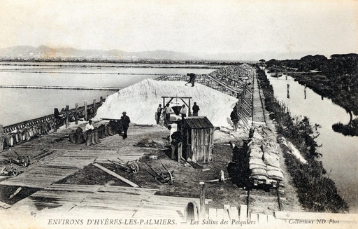 Environs d'Hyeres-Les Palmiers - Mes Salins des Pesquiers