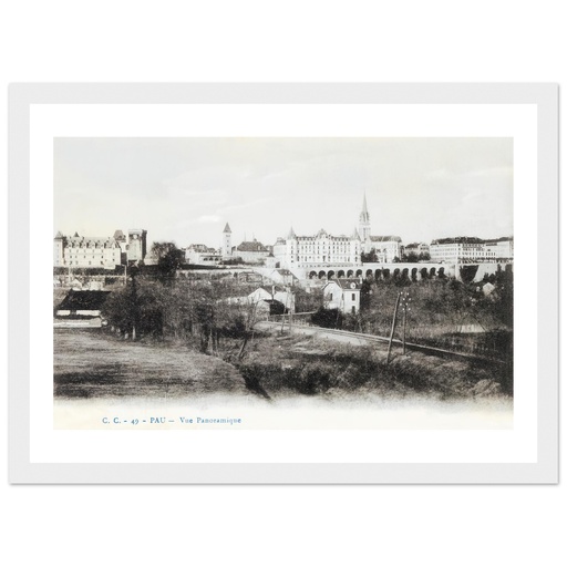 Pau - Vue panoramique