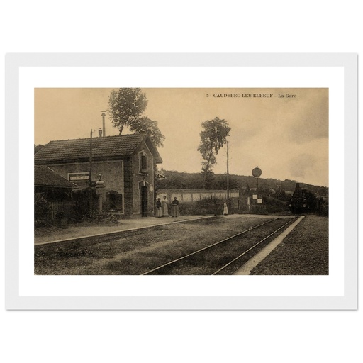 Caudebec-lès-Elbeuf - La gare