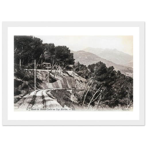 Route de Monte Carlo a Cap Martin  Monte Carlo  - Alpes Maritimes - PACA - France