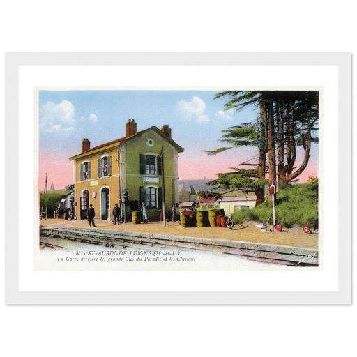 Saint-Aubin-de-Luigné (Maine et Loire) - La gare, derrière les Grands clos du Paradis et le Chesnais