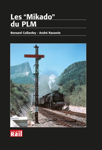 [110165] Les "Mikado" du PLM