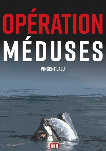 [110418] Opération méduses